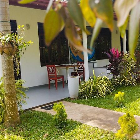 Bed and Breakfast Eco Nest Marakolliya Tangalle Exterior foto