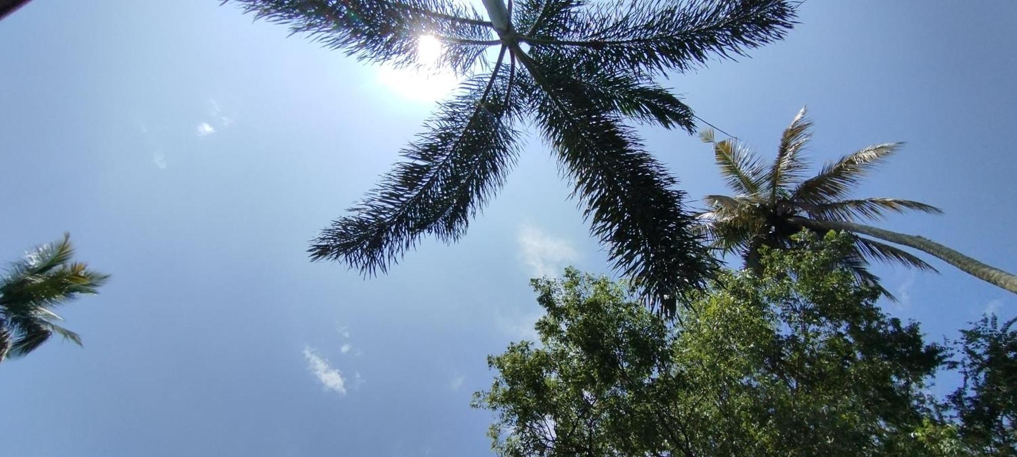 Bed and Breakfast Eco Nest Marakolliya Tangalle Exterior foto